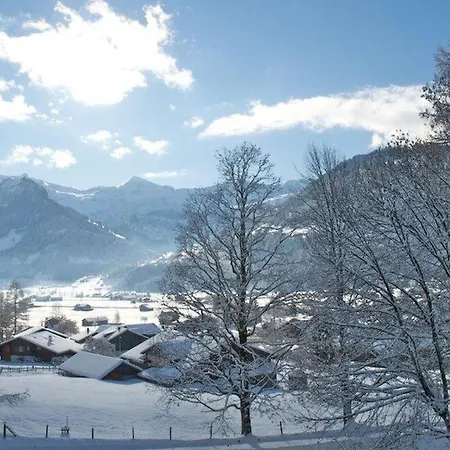 Apartament Pony 4-bettwohnung By Interhome Lenk