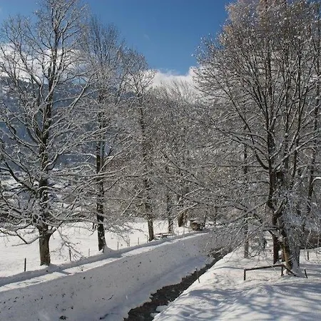 Apartament Pony 4-bettwohnung By Interhome *