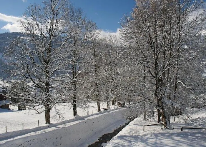 Lejlighed Pony 4-bettwohnung By Interhome *